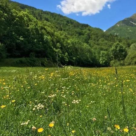 Un Rincon Especial En Vall De Boi 公寓